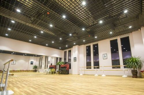 音悅藝術中心加盟全解析 潛力賽道與代理行動指南