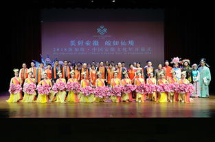 駐新加坡使館房新文臨時代辦出席多場春節文化活動，賦能文化藝術經紀代理新圖景